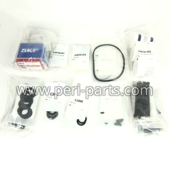 495128 Waukesha OVERHAUL TUNE-UP KIT