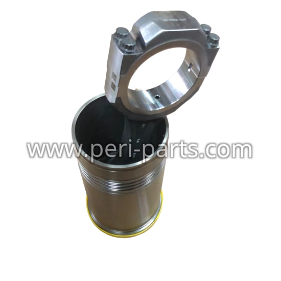10R6011 Caterpillar CYL PACK