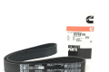 belt front view