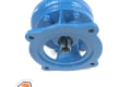207482Y Waukesha PUMP, AUX. WATER