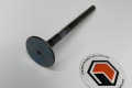 119578-11110 Yanmar VALVE, EXHAUST