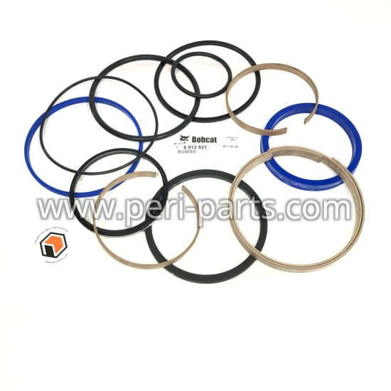 6912521 Bobcat SET OF SEALS