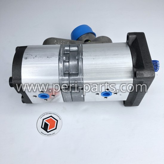 6262009M91 Agco GEAR PUMP-BOSCH