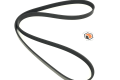3094909 Cummins BELT,V RIBBED