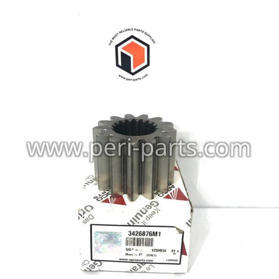 3426876M1 Agco GEAR