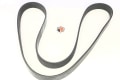 2915837 Caterpillar FANBELT