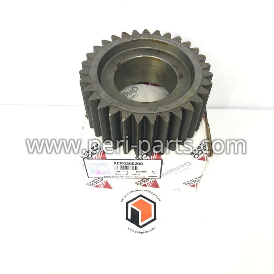 ACP0300300 Agco GEAR-Z = 31