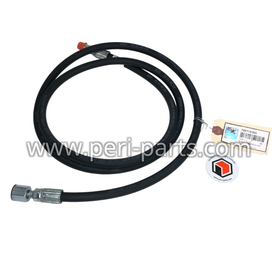 700719389 Agco HYDR.HOSE ASSY.-