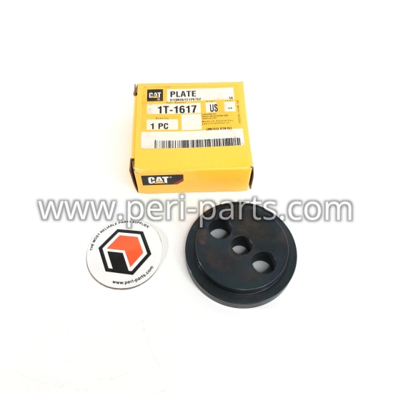 1T1617 Caterpillar PLATE