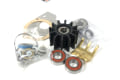 0541-1317 Cummins Onan REPAIR KIT (PUMP-MAJOR)
