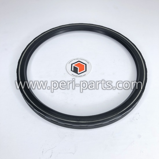 304047A Waukesha SEAL,REAR CRANKSHAFT