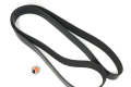 208864 Tigercat BELT, FAN