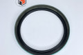 304823B Waukesha SEAL,FRONT CRANKSHAFT