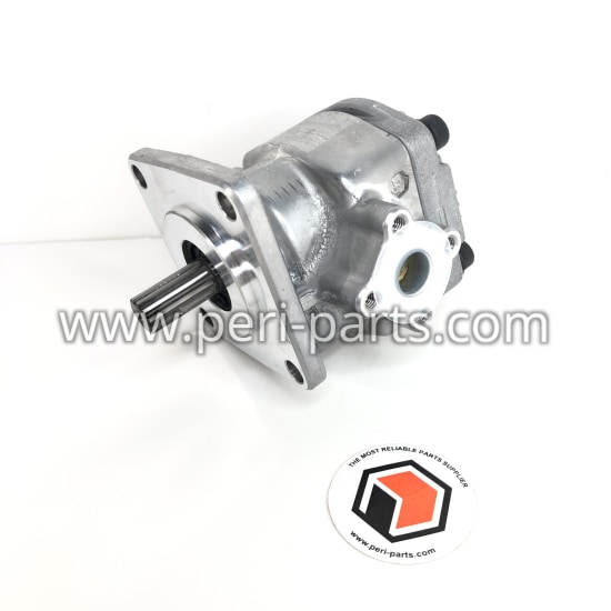 4265224M92 Agco GEAR PUMP-R10