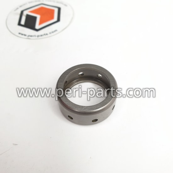 2410500019 Bosch CAPSULE