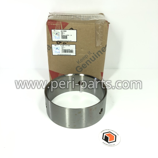 V81710900 Agco BUSHING