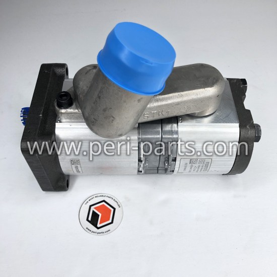 6262009M91 Agco GEAR PUMP-BOSCH