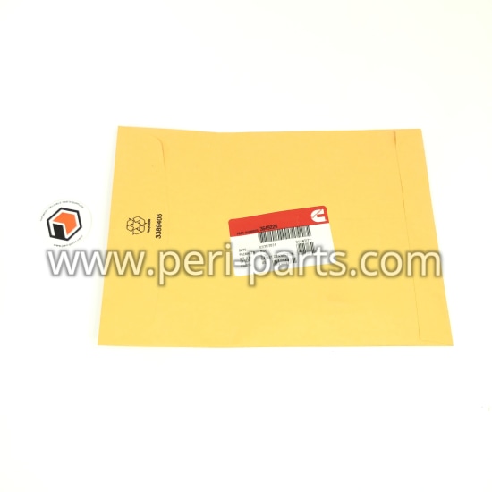 3649226 Cummins GASKET,CONNECTION