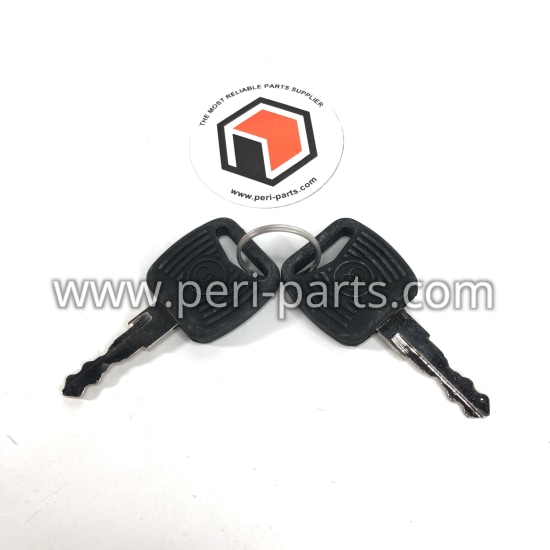 270584 GEHL KEY/IGNITION AL