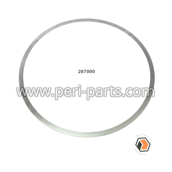 287000 Waukesha CYLINDER HEAD SEAL AND NBL RING