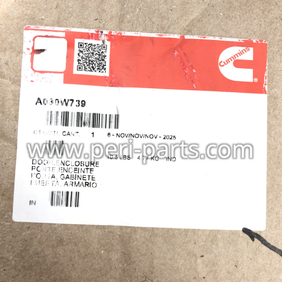 A030W739 Cummins Onan DOOR,ENCLOSURE