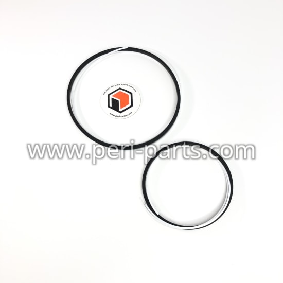 472994 Waukesha REPAIR KIT-MAIN/HEAD JACK SEAL