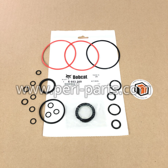6653269 Bobcat KIT SEAL