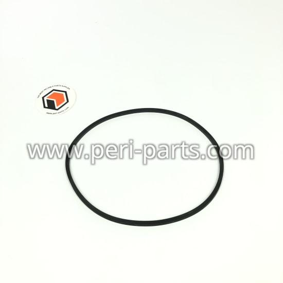 493026 Waukesha O RING,SQ SECT (LARGE)