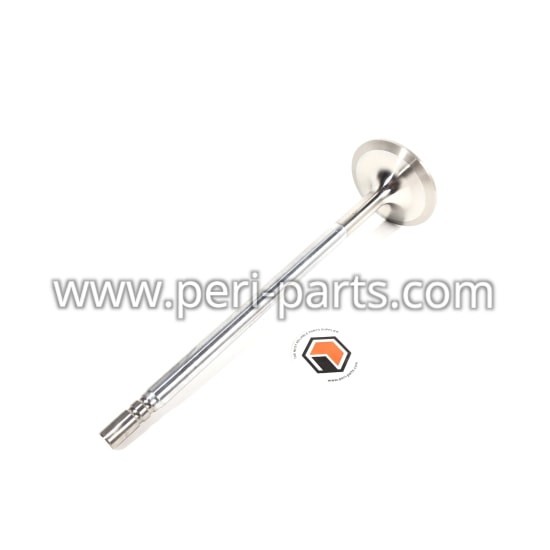 204436A Waukesha VALVE,INTAKE