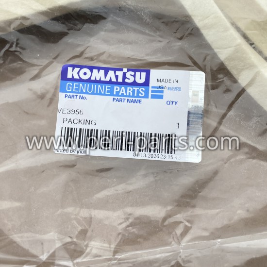VE3956 Komatsu PACKING