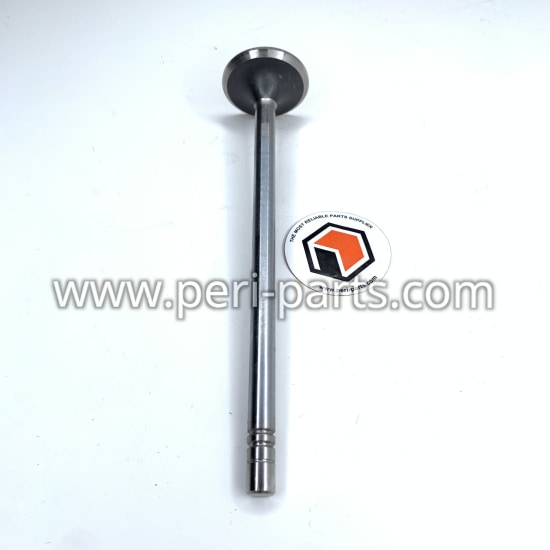 2481467 Caterpillar VALVE-EXHAUS