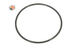 172608 Waukesha O-RING