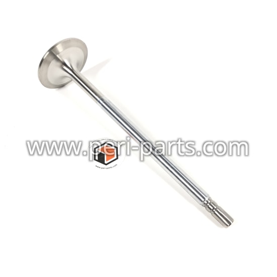 204436K Waukesha VALVE,EXHAUST