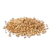 barley malt
