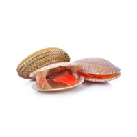 Red Clams