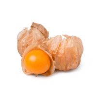 Physalis