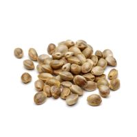 Hemp Seed