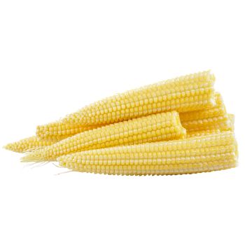Baby Corn