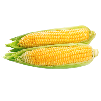 corn