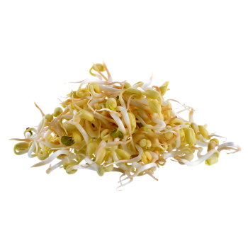 bean sprouts