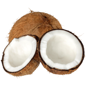 coconut