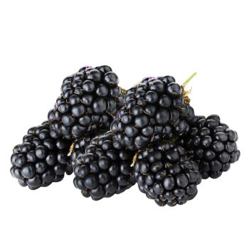 Blackberries
