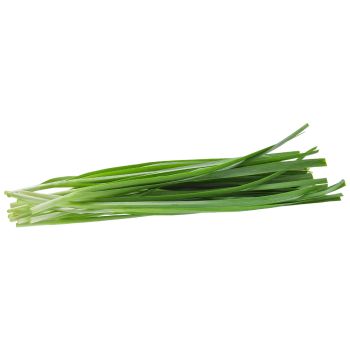 Chive
