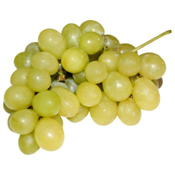 Grapes