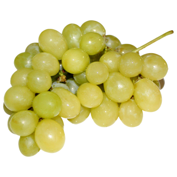 grapes