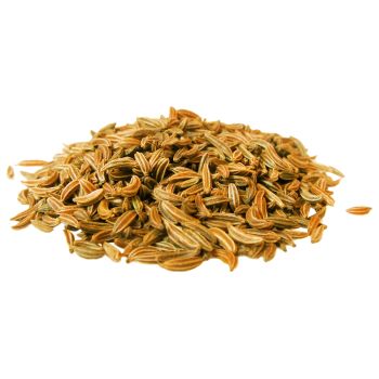 Fennel Seeds