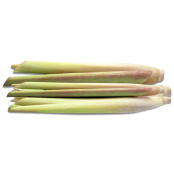 lemongrass