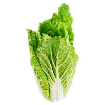 Lettuce