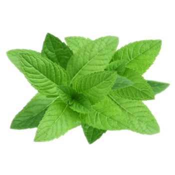 peppermint