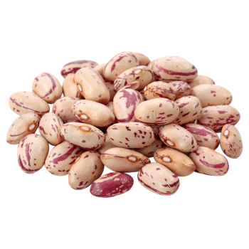 pinto beans